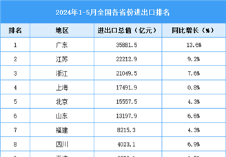 2024年1-5月全国各省份进出口排名情况（附榜单）