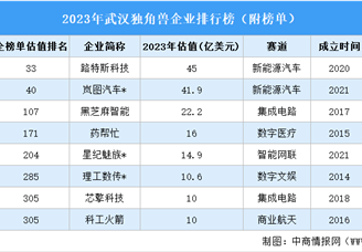 2023年武汉独角兽企业排行榜（附榜单）