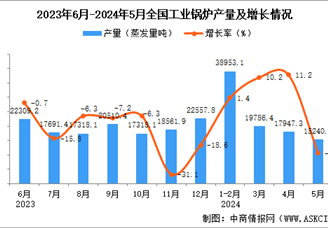 2024年5月全国工业锅炉产量数据统计分析