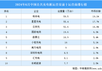 2024年6月中国公共充电桩运营量前十运营商排行榜（附榜单）