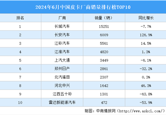 2024年6月中国皮卡厂商销量排行榜TOP10（附榜单）