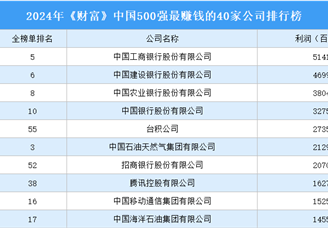 2024年《财富》中国500强最赚钱的40家公司排行榜（附榜单）