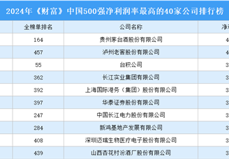 2024年《财富》中国500强净利润率最高的40家公司排行榜（附榜单）