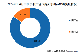 2024年1-6月中国手机行业国内外品牌出货量及上市情况分析（图）