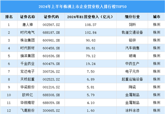 2024年上半年株洲市上市公司营业收入排行榜（附榜单）