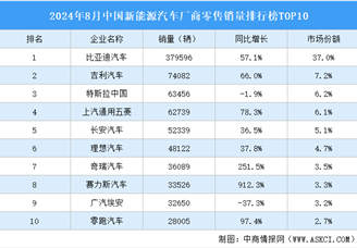 2024年8月中国新能源汽车厂商零售销量排行榜TOP10（附榜单）