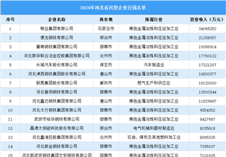 2024年河北省民营企业百强名单（附榜单）