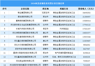 2024年河北省制造业民营企业百强名单（附榜单）