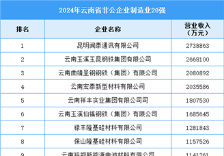 2024年云南省非公企业制造业20强企业名单（附榜单）