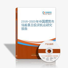 2016-2020年中國擺剪市場前景及投資機會研究報告