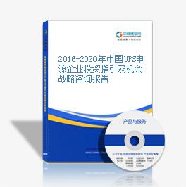 2016-2020年中國UPS電源企業投資指引及機會戰略咨詢報告