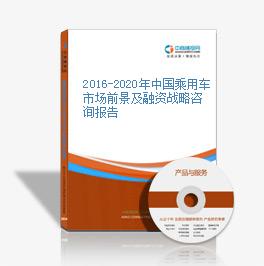 2016-2020年中國乘用車市場前景及融資戰略咨詢報告