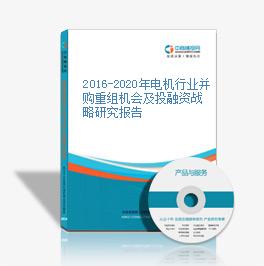 2016-2020年電機行業并購重組機會及投融資戰略研究報告