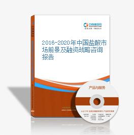 2016-2020年中國鹽酸市場前景及融資戰略咨詢報告