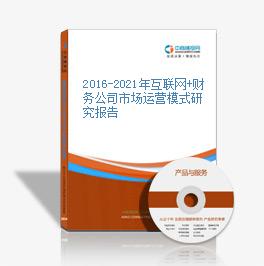 2016-2021年互聯網+財務公司市場運營模式研究報告