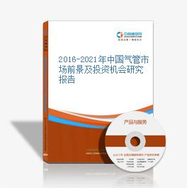 2016-2021年中國氣管市場前景及投資機會研究報告