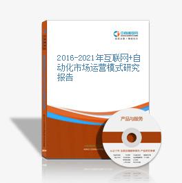 2016-2021年互聯網+自動化市場運營模式研究報告