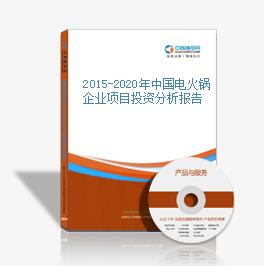 2015-2020年中國電火鍋企業項目投資分析報告