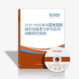 2015-2020年中國焦磷酸銅市場前景分析與投資戰略研究報告