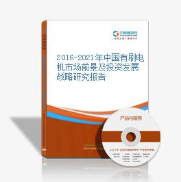 2019-2023年中國有刷電機市場前景及投資發展戰略研究報告