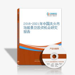 2019-2023年中國夾頭市場前景及投資機會研究報告